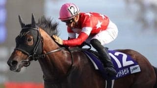 21年JBCスプリント覇者レッドルゼルが登録抹消 今後はイーストスタッドで種牡馬入り