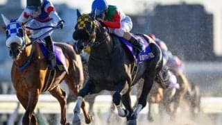 【大井・フジノウェーブ記念結果】ギャルダルが好位から押し切り連覇達成