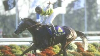 横山典弘騎手の“逃げ”神騎乗といえば？ セイウンスカイなどファンの声多数集まる