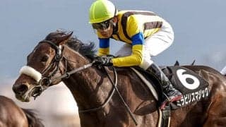 “名牝の宝庫”国枝厩舎の注目馬 名繁殖ソーマジックの仔がチューリップ賞に