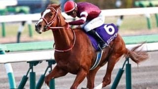 【弥生賞予想】好走条件を綺麗にクリア “穴党”のAIがイチオシしたのは意外な一頭