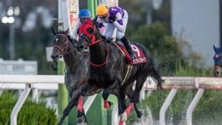 【かきつばた記念】交流重賞連勝中、サンライズホークは4枠4番へ