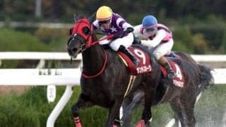 【名古屋・かきつばた記念注目馬】重賞連勝中のサンライズホークか、悲願のDG競走初制覇狙うスマイルウィか