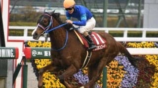 アフリカンゴールドが引退、阪神競馬場で乗馬に 多くのファンから愛された“アイドルホース”