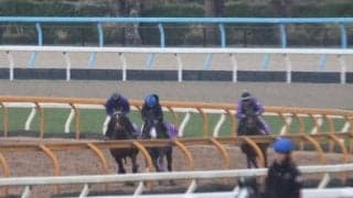 ドウデュース、ドバイターフ追い切り速報/栗東トレセンニュース