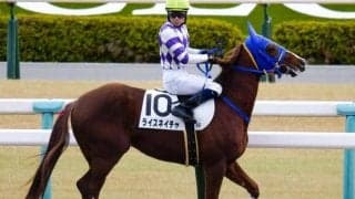 ナイスネイチャ主戦・松永昌師のラストウィーク ライスネイチャの劇的Vなるか