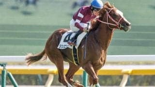 【弥生賞出走馬・騎手確定】シンエンペラー＆川田将雅騎手、トロヴァトーレ＆C.ルメール騎手など11頭