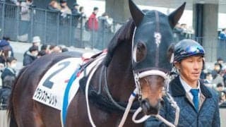 ダイワスカーレット最後の仔で唯一の牡馬 2戦目で初勝利なるか