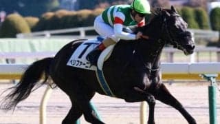 エフフォーリアの半妹ペリファーニア C.ルメール騎手とコンビ継続で2連勝なるか