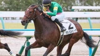 名牝グランアレグリアの背中を追う 昨年の朝日杯FS・3着馬がチューリップ賞で重賞初V目指す