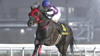 【名古屋・かきつばた記念結果】サンライズホークが逃げ切って交流重賞3連勝！