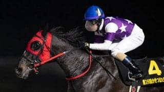 【かきつばた記念】デムーロ「手応えは抜群でした」サンライズホークが交流重賞3連勝