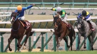 アフリカンゴールドの競走馬登録抹消