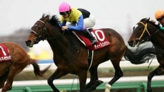 馬名がレース名につく基準は？ 弥生賞“ディープインパクト”記念を前に調べてみた