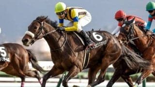 【チューリップ賞枠順確定】ミラビリスマジックは3枠5番、ガルサブランカは5枠10番