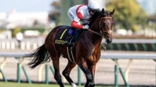 【弥生賞枠順確定】シンエンペラーは5枠5番、ダノンエアズロックは7枠9番