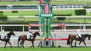 兵庫トップジョッキーの長男など 関西所属のJRA新人騎手4名は小倉でデビュー