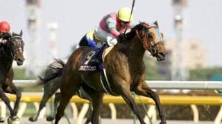 名牝カワカミプリンセスの最後の仔 条件替わりでガラリ一変なるか