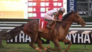 Yoshida産駒のJRA初勝利なるか 良血馬が土曜中山5Rに出走