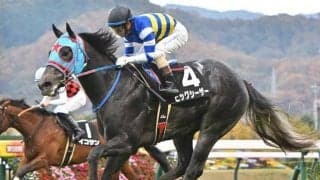 【オーシャンS予想】血統で狙い方が変わる!? 人気でも軽視したい血統とは果たして