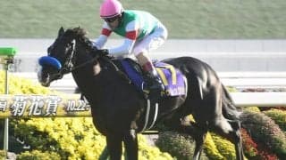 【金鯱賞想定馬・騎手】ドゥレッツァ、プログノーシスなど12頭