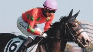 いとこにGI馬3頭の良血 エイユーキュートが初勝利なるか