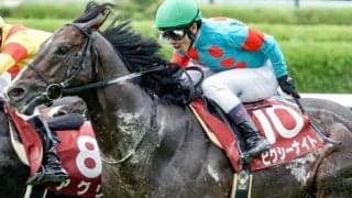 半兄ピクシーナイトの1億円馬 日曜阪神4Rでデビュー