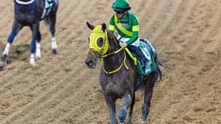サウジカップデー遠征馬のうち12頭が帰国 ウシュバテソーロなど10頭はドバイへ移動