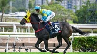 香G1馬ビクターザウィナーが高松宮記念に参戦決定 12日に来日