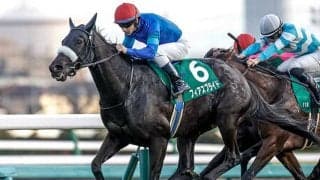 【中山牝馬S想定馬・騎手】フィアスプライド、ククナなど16頭