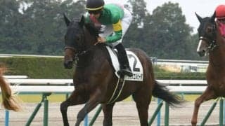 【今日の注目ポイント】チューリップ賞・オーシャンSの2重賞と新人騎手がデビュー