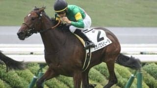 【チューリップ賞予想】桜舞台につながる最重要ステップ 阪神JF組不在でも素質馬多数