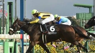 桜花賞の「最重要ステップレース」チューリップ賞で牝馬クラシック戦線へと羽ばたくのは？