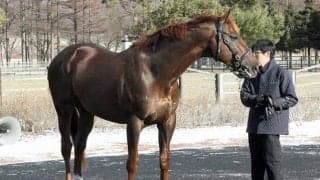 エスケンデレヤが心不全のため17歳で死亡