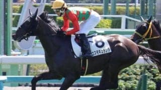 【弥生賞予想】前走勝利馬が7割の連対率！ 巻き返しは重賞組から
