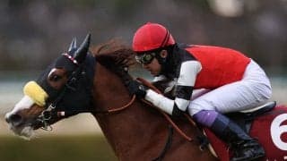 【チューリップ賞】武豊「楽しみな馬と出会えた」スウィープフィートが重賞初制覇