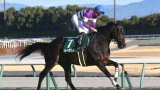 重賞2勝のイルーシヴパンサーが競走馬登録を抹消 今後は乗馬となる予定