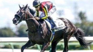 【弥生賞予想】皐月賞よりも日本ダービーにつながるレース さらに先を見据えた馬を狙うのが的中への近道？ 