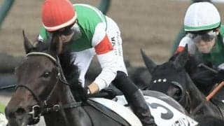 ひな祭りは牝馬に注目!? 3月3日に牡馬相手のオープンへと挑む“大和なでしこ”たち