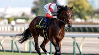 【弥生賞・馬体重】ダノンエアズロックは504kg(+18)、トロヴァトーレは496kg(+6)