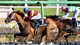 【総武S】ゴールドハイアーがオープン初勝利…サーマルソアリングは2着敗退