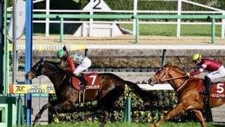 【弥生賞】伏兵コスモキュランダが抜け出す…シンエンペラーは2着