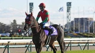 【阪神SJ】マイネルグロン、ニシノデイジーらが登録