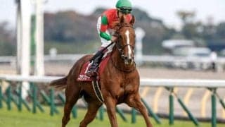 【フィリーズレビュー】コラソンビート、カルチャーデイらが登録