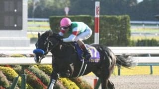 【金鯱賞】ドゥレッツァ、プログノーシスらが登録