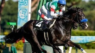 大阪杯の前哨戦・金鯱賞など4重賞/今週の競馬界の見どころ