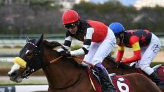 【チューリップ賞】売上は46億1307万400円で昨年より約3000万円の微減