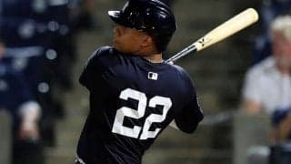 大谷翔平を“超える”異次元OPS2.207！ ヤ軍主砲ソトに辛口NYメディアも「畏敬の念を抱かせる」と絶賛