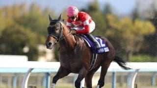 【先週のJRA抹消馬】21年のJBCスプリント制したレッドルゼル、“アイドルホース”として愛されたアフリカンゴールドなど