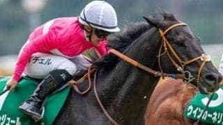 冬競馬でインパクト残した“豪州の名手” その活躍ぶりに「是非また来てほしい」